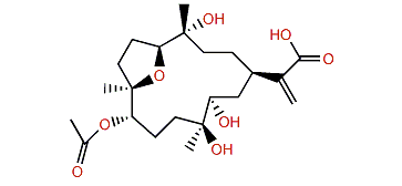 Dendronpholide I